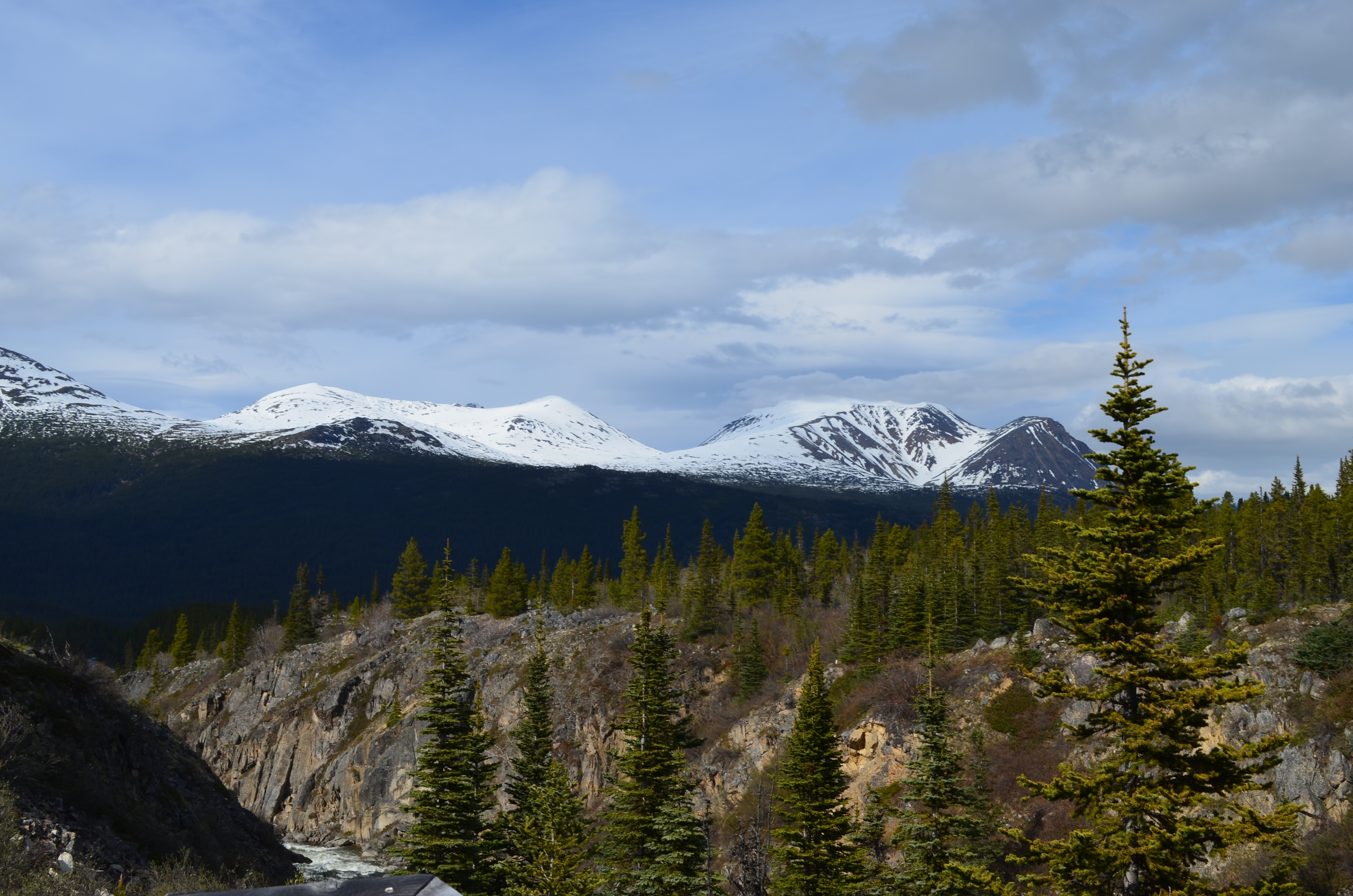./2017/08 - Alaska Cruise/09 - Skagway/DSC_0085.JPG